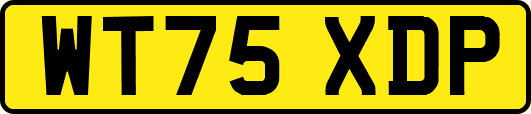 WT75XDP