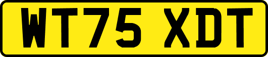 WT75XDT