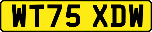 WT75XDW