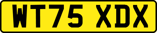 WT75XDX