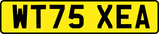 WT75XEA