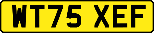 WT75XEF
