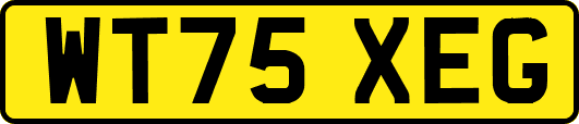 WT75XEG