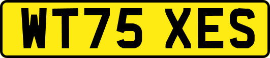 WT75XES