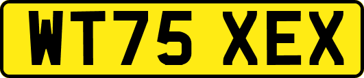 WT75XEX