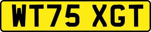 WT75XGT