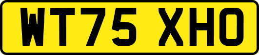 WT75XHO