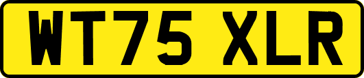 WT75XLR