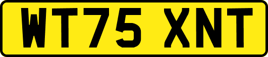 WT75XNT