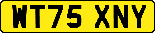 WT75XNY