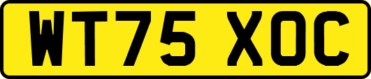 WT75XOC