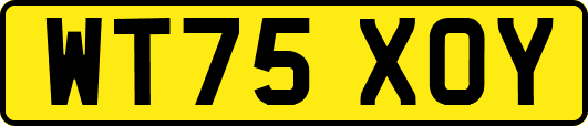 WT75XOY
