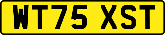 WT75XST