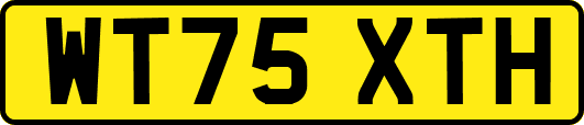 WT75XTH