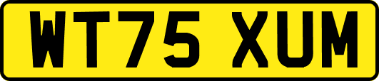 WT75XUM