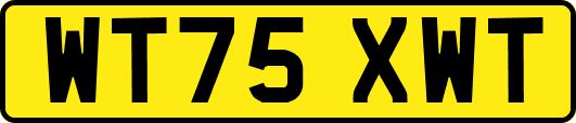 WT75XWT