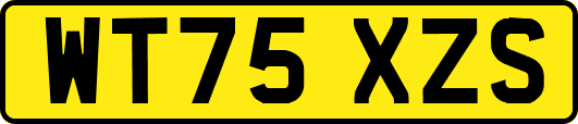 WT75XZS