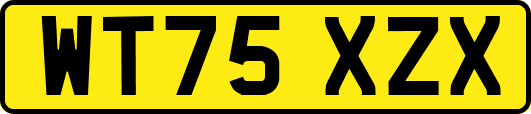 WT75XZX