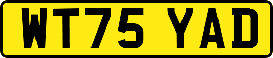 WT75YAD