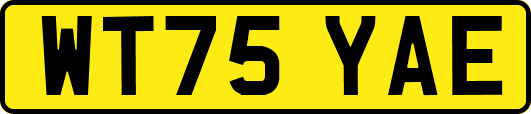 WT75YAE
