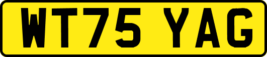 WT75YAG