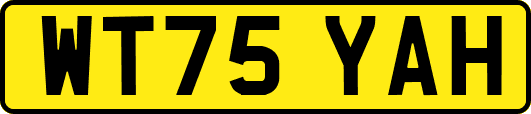 WT75YAH