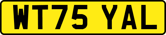 WT75YAL
