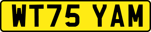 WT75YAM