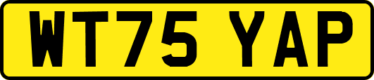 WT75YAP