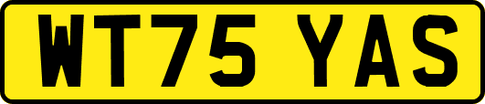 WT75YAS