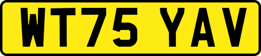 WT75YAV