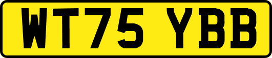 WT75YBB