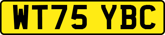WT75YBC