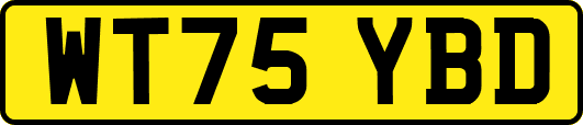 WT75YBD