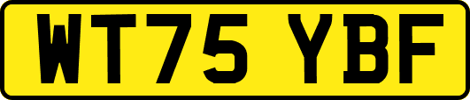 WT75YBF