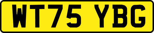 WT75YBG