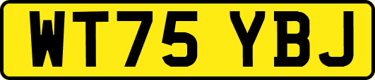 WT75YBJ