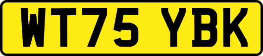WT75YBK