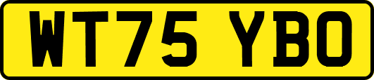 WT75YBO