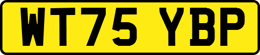 WT75YBP