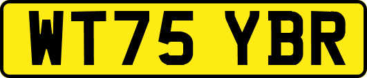 WT75YBR