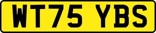 WT75YBS