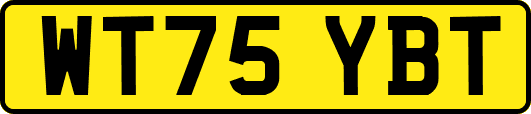 WT75YBT