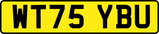 WT75YBU