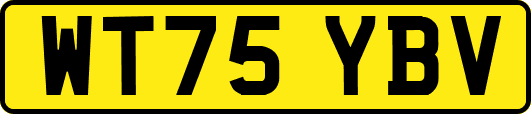 WT75YBV