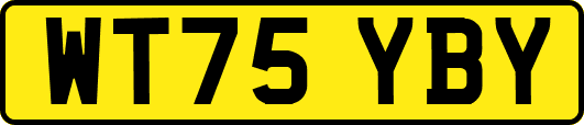 WT75YBY