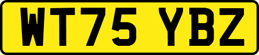 WT75YBZ
