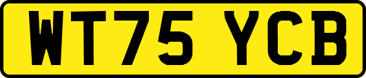 WT75YCB