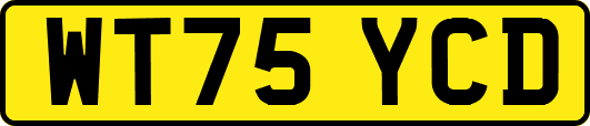 WT75YCD