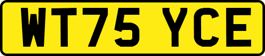 WT75YCE